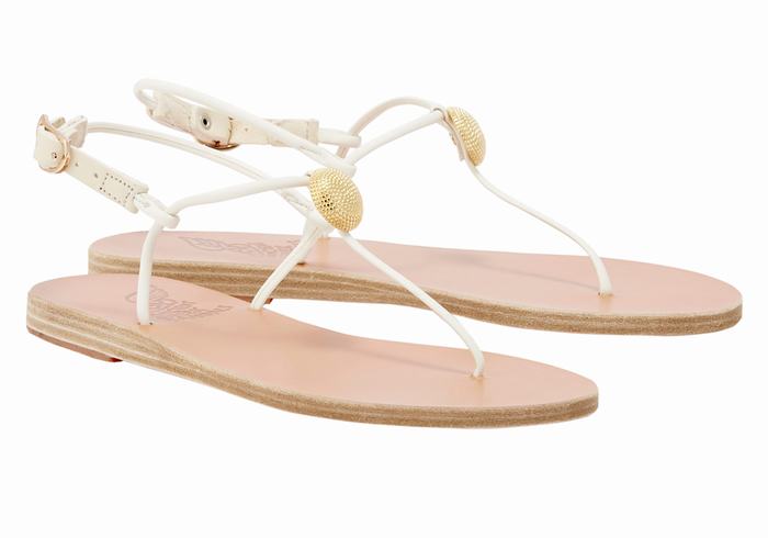 Sandales Bride Arrière Ancient Greek Sandals Dimitra Flip Flop   | JWC-1185266